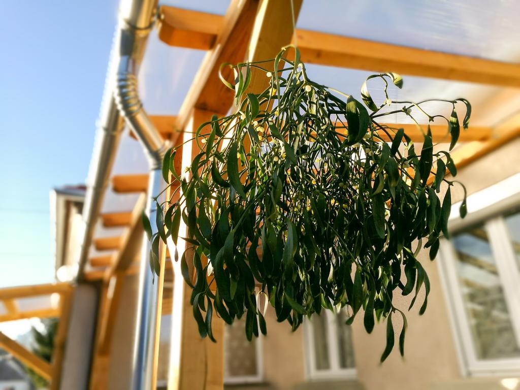 Fagyoengy Appartement Sárvár Buitenkant foto